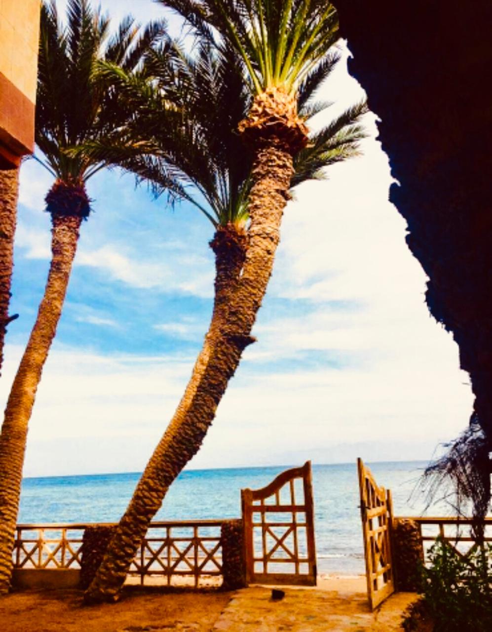 1 bedroom first line (101)