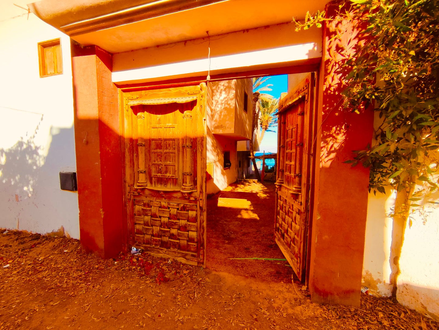 1 bedroom first line (101)